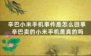 辛巴小米手机事件是怎么回事 辛巴卖的小米手机是真的吗